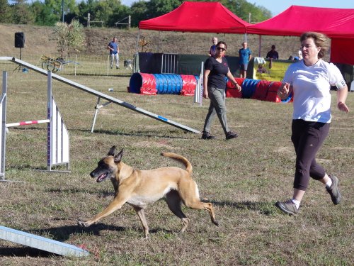 Concours d'agility, Fontaines 11 septembre 2022