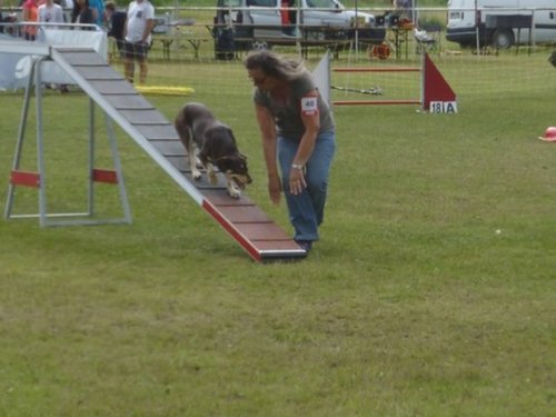 Concours d'agility, Magny sur Tille, 2 juillet 2017