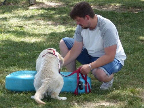 Fitness canin, 18 juin 2022