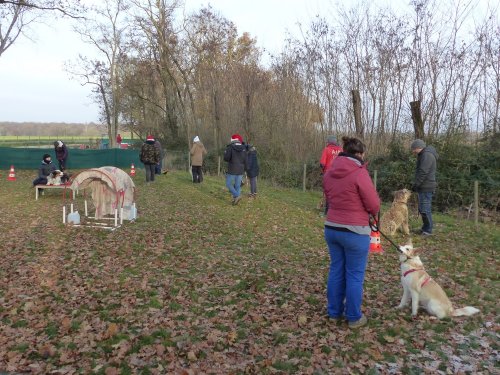 Education canine, 17 décembre 2022