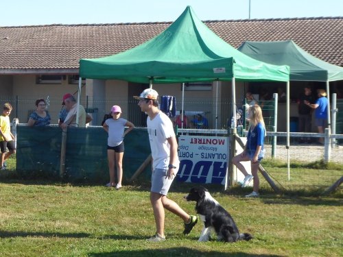 Concours d'agility, Montret, 29 juillet 2018