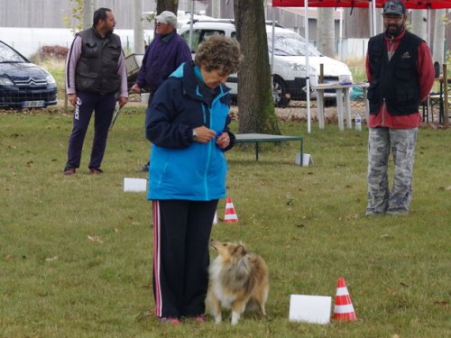 CAESC et Pass-agility Fontaines 17 septembre 2016