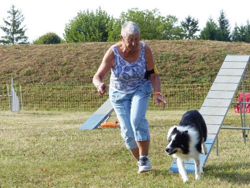 Concours d'agility de Fontaines, le 16 septembre 2018