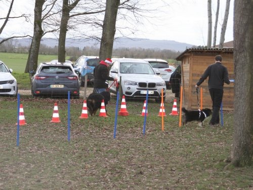 Education canine, 21 décembre 2019