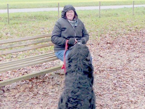 Education canine, 3 décembre 2022