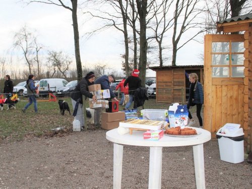 Education canine, 21 décembre 2019