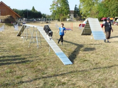 Concours d'agility de Fontaines, le 15 septembre 2019