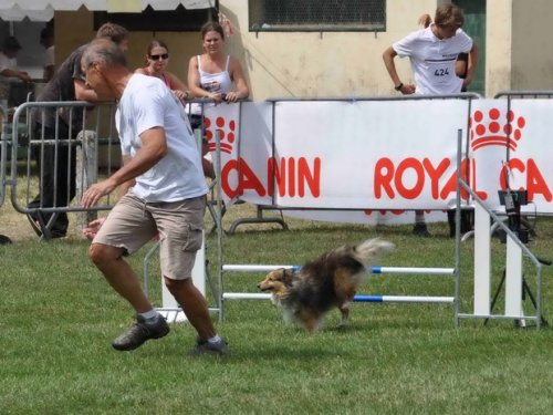 Finale nationale 2015 du Trophée par équipe à Coucy le Château