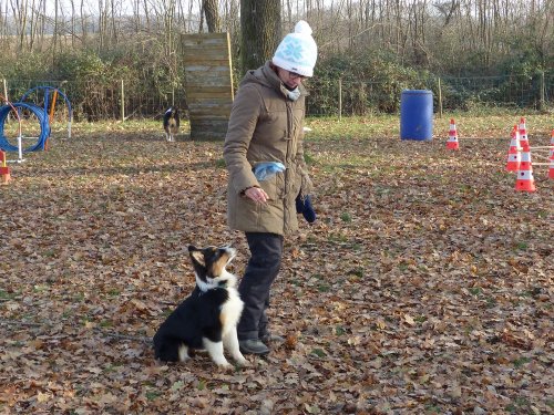 Education canine, 17 décembre 2022