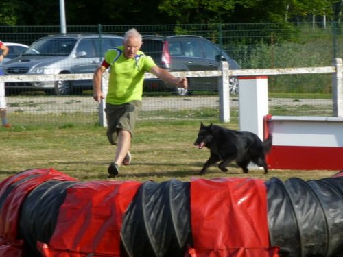 Concours d'agility, Montret, 30 juillet 2017