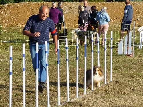 Concours d'agility de Fontaines, le 16 septembre 2018