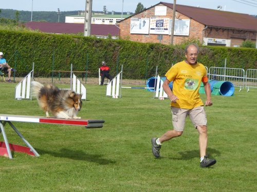 Concours d'agility, Montbard, 24 juin 2018