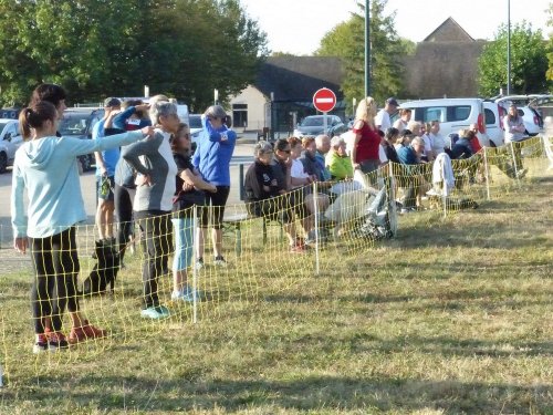 Concours d'agility de Fontaines, le 15 septembre 2019