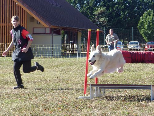 Concours d'agility, Fontaines 11 septembre 2022