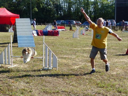 Concours d'agility, Fontaines 11 septembre 2022