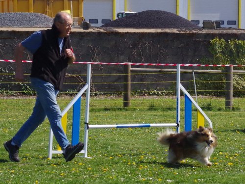 Concours d'agility, Barges, 9 avril 2023