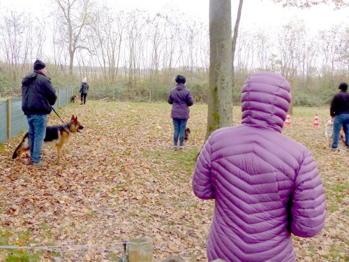 Education canine, 3 décembre 2022