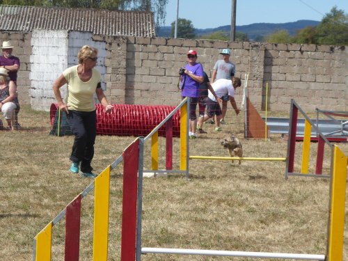 Concours d'agility, Autun, 9 septembre 2018