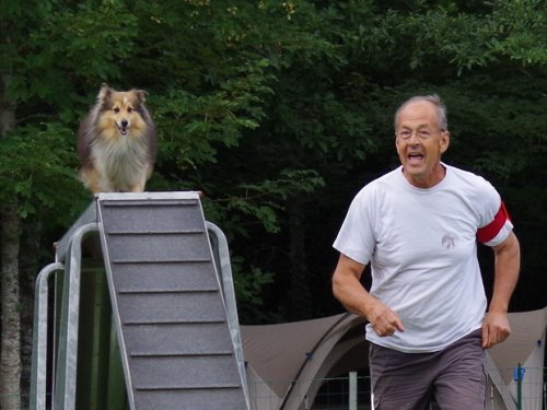 Concours d'agility, Sanvignes les Mines, 6 août 2016