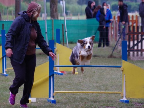 CAESC et Pass-agility Fontaines 17 septembre 2016