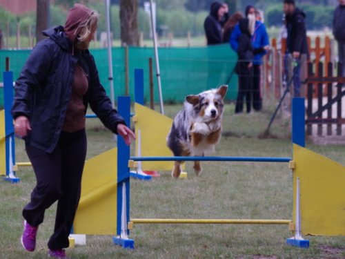 CAESC et Pass-agility Fontaines 17 septembre 2016