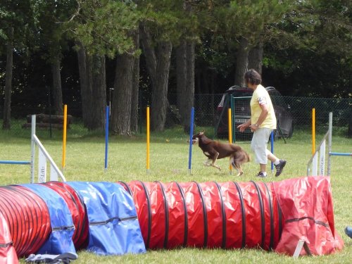 Concours d'agility, Daix, 17 juin 2018