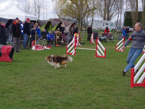 Concours d'agility, Barges, 1 avril 2018