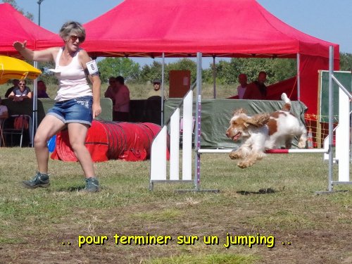 Concours d'agility, Fontaines 9 et 10 septembre 2023