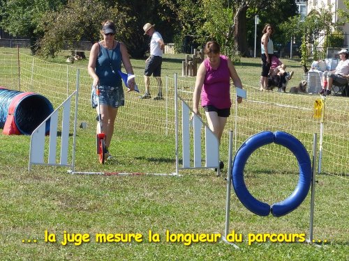 Concours d'agility, Fontaines 9 et 10 septembre 2023