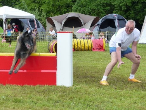 Concours d'agility de Fontaines, le 29 mai 2016