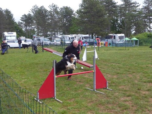 Concours d'agility, Messigny Vantoux, 12 et 13 mai 2018