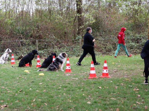 Cours d'éducation du mois de juin 2021