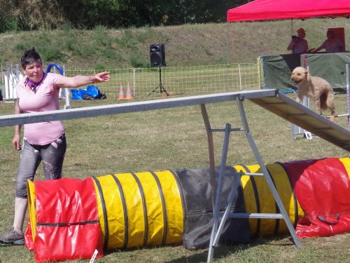 Concours d'agility, Fontaines, 9 et 10 septembre 2023