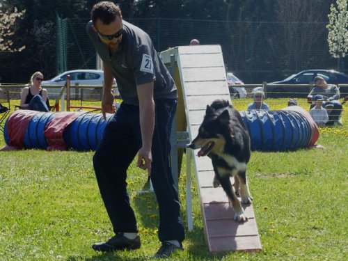 Premier concours d'agility de Fontaines, le 12 avril 2015