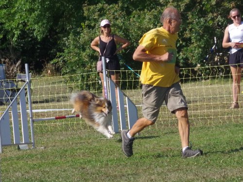 Concours d'agility, Fontaines, 9 et 10 septembre 2023