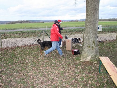 Education canine, 21 décembre 2019