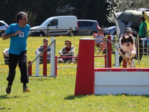 Premier concours d'agility de Fontaines, le 12 avril 2015