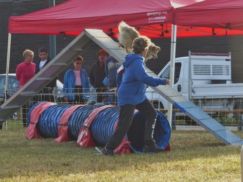 Concours d'agility de Fontaines, le 16 septembre 2018