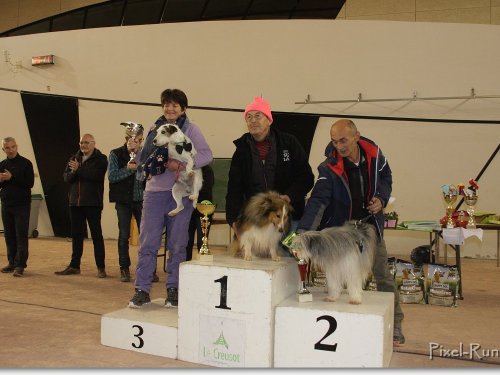 Concours d'agility, Le Creusot, 25 novembre 2018