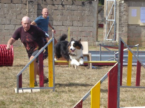 Concours d'agility, Autun, 9 septembre 2018