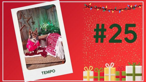 Concours photos 2024 : sur le thème de Noël