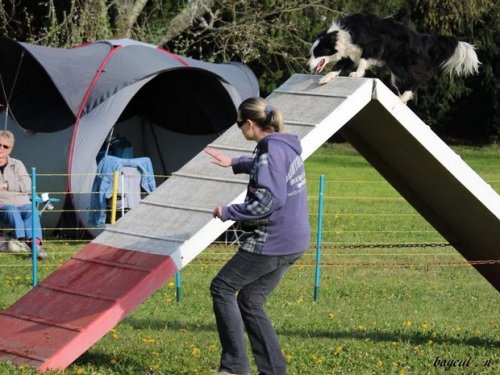 Premier concours d'agility de Fontaines, le 12 avril 2015