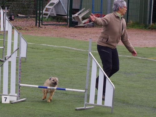 Concours d'agility, Le Creusot  1 avril 2023