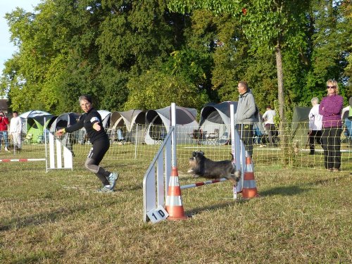 Concours d'agility de Fontaines, le 16 septembre 2018