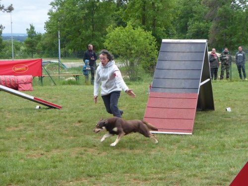 Concours d'agility, Messigny Vantoux, 12 et 13 mai 2018