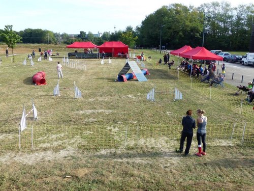 Concours d'agility de Fontaines, le 16 septembre 2018