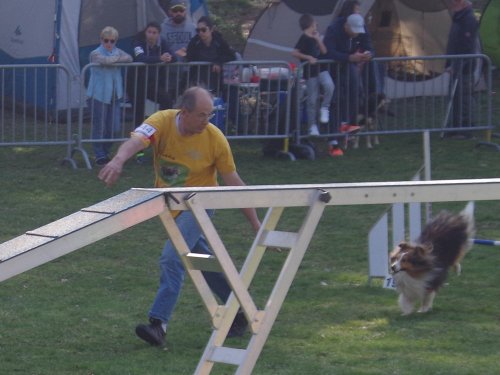 Concours d'agility, Le Creusot, 24 mars 2019