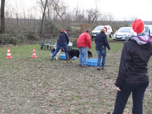 Education canine, 21 décembre 2019