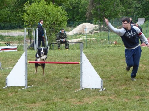 Concours d'agility, Messigny Vantoux, 12 et 13 mai 2018