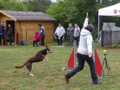 Concours d'agility, Messigny Vantoux, 12 et 13 mai 2018